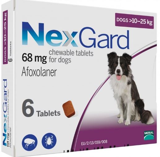 NEXGARD CHEWS FOR DOGS 24.1-60 LBS / 10.1-25 KG - PURPLE 6 CHEWS - The Poultry coop