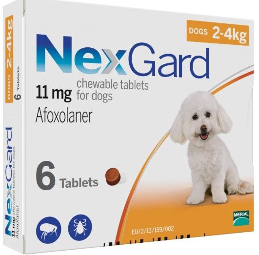 NEXGARD CHEWS FOR DOGS 4-10 LBS / 2-4 KG - ORANGE 6 CHEWS - The Poultry coop