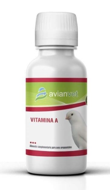 Avianvet Vitamin A 100ml For Canaries Parakeets Parrots Cage Birds | The Poultry Coop