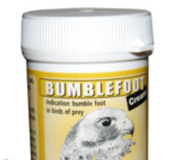 DAC Bumblefoot Cream 30gr Inflammatory Infections Of Foot Pads For Falcons - The Poultry coop